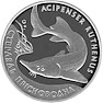 Артефакт: рыбомонетка