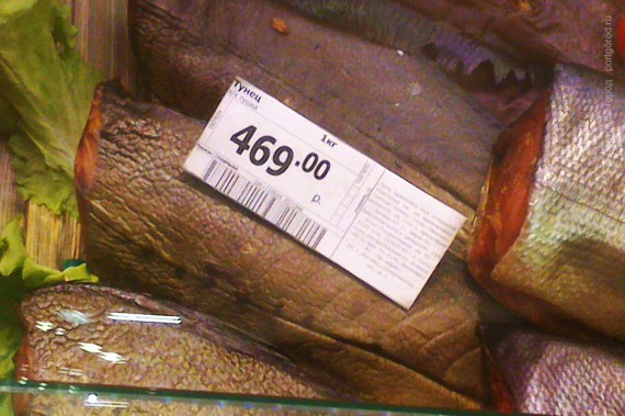 Тунец холодного копчения