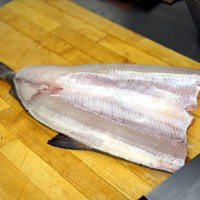 DSC04975