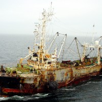 hakuten_2