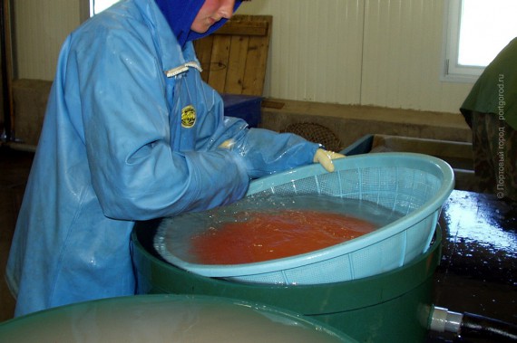 Промывка икры